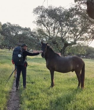 Cristóbal Cordero, con mochila de peregrino, acariciando un caballo negro en la dehesa